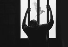 Y a mí, ¿quién me perdona? Foto de Hasan Almasi. Y a mi quien me perdona